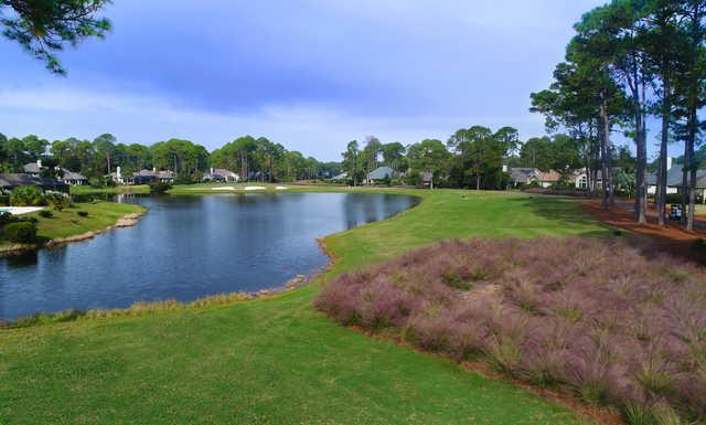 A view from Oyster Reef Golf Course
