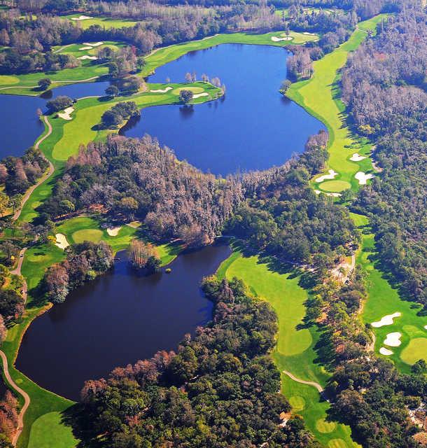 Golf at Innisbrook Golf Resort - Premier Golfing Experience