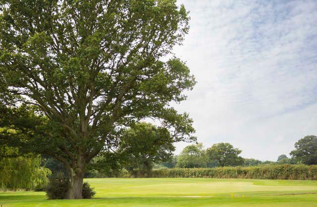 A view from Bulbury Woods Golf Club