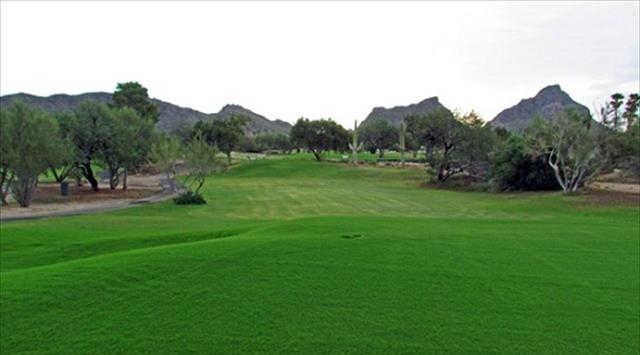 A view of a fairway at Tucson Estates Country Club & Golf Course.