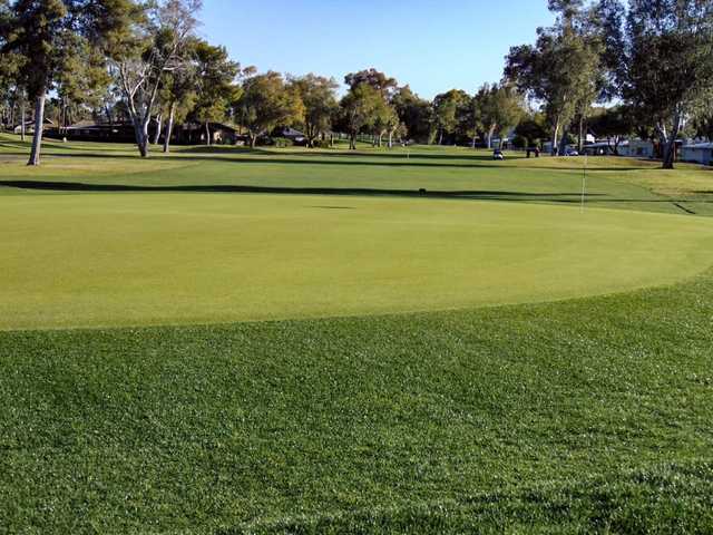 View of a green at Arizona Golf Resort