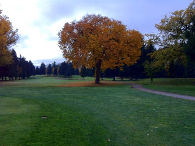 A fall day view from Birchbank Golf Course.