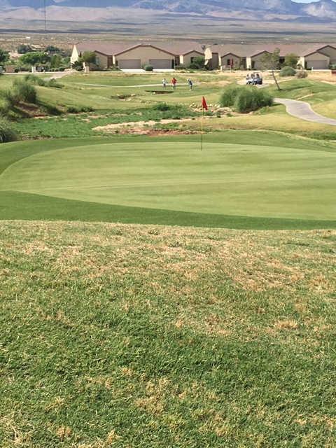 View of a green at Coyote Willows Golf Club