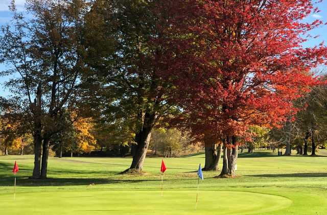 View of the putting green at Village Green Golf Course