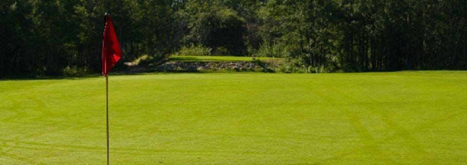 Morningview Park Golf Course 