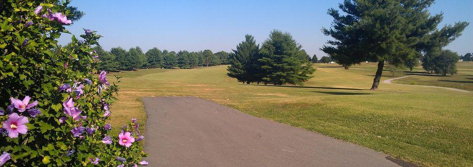 The Pines at Lindsey Wilson