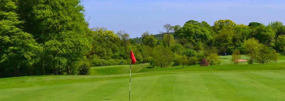 Blackwood Golf Centre - Temple Par 3 - Ratings, Reviews & Course  Information | GolfNow