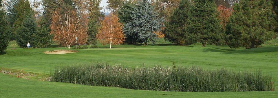 Sah-Hah-Lee Golf Course - Reviews & Course Info | GolfNow