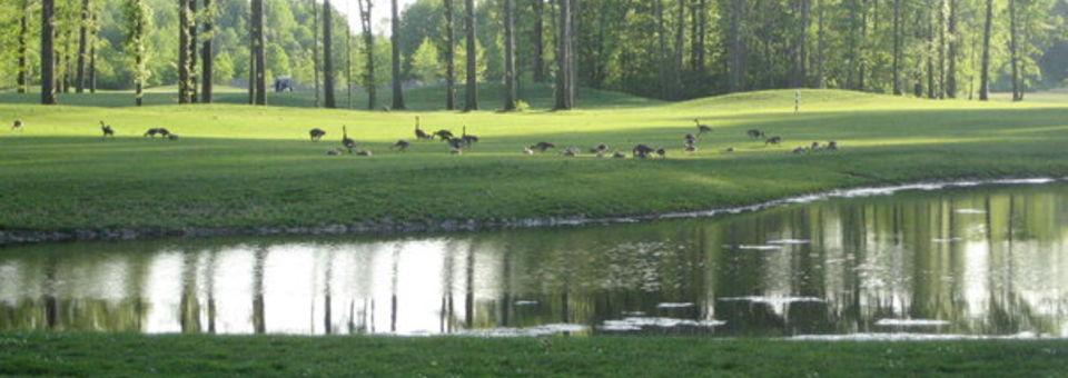 Sweetbriar Golf Club - Sweetbriar 9