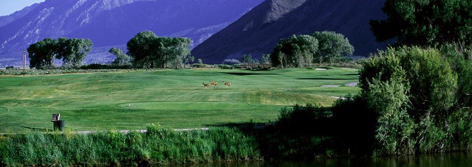 Genoa Lakes Golf Club & Resort