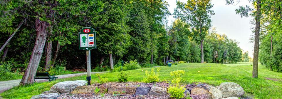 Falcon Ridge 