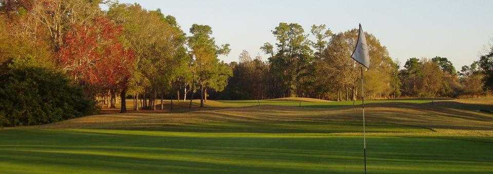 The Eagles Golf Club - Forest