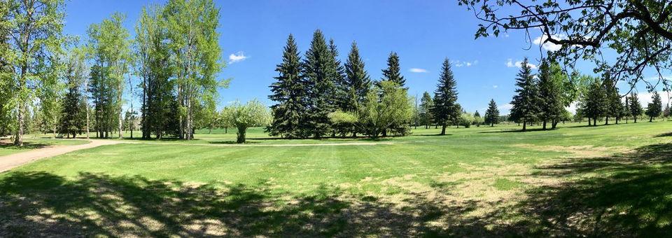 Edson Golf & CC
