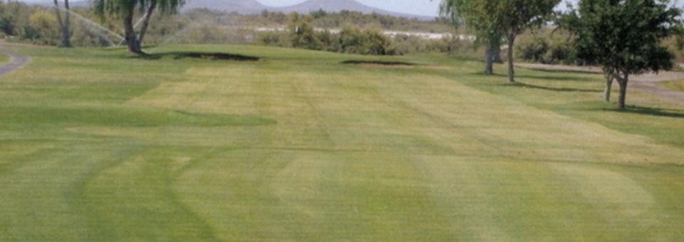Apache Mesa Golf Club