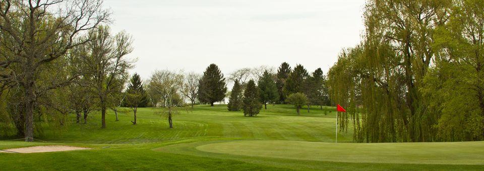 Willow Brook