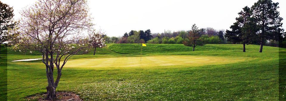 Ironwood