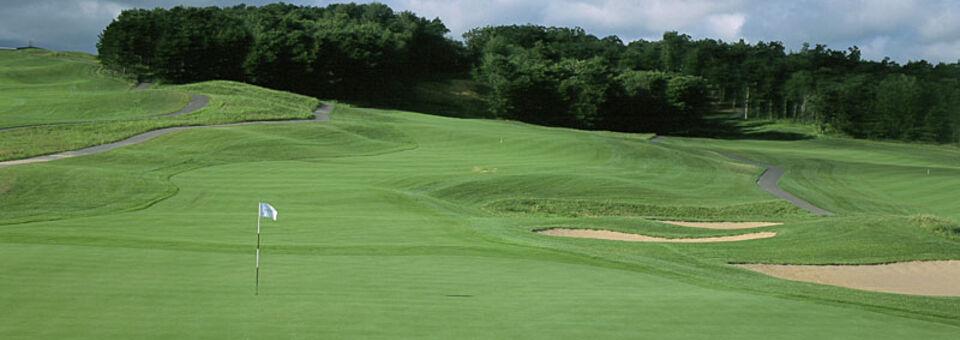 Wild Ridge Golf Course