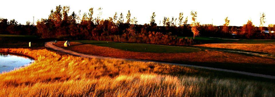 The Meadows at East St. Paul