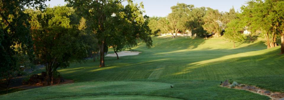 Course photo for south