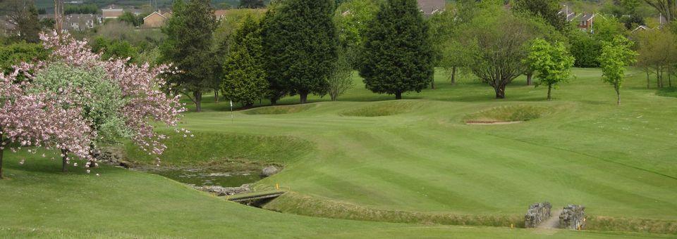 Carrick Golf Club