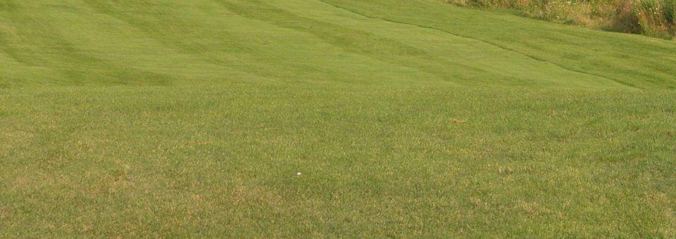 Nine Springs Golf Course