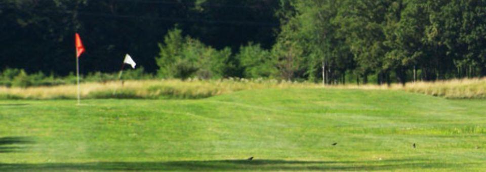 Leaning Tree Golf Club