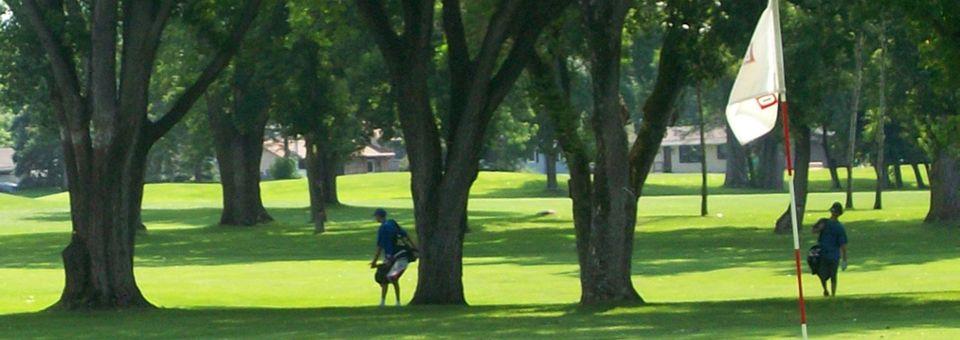 Brookland Golf Park - Executive - 9 Holes