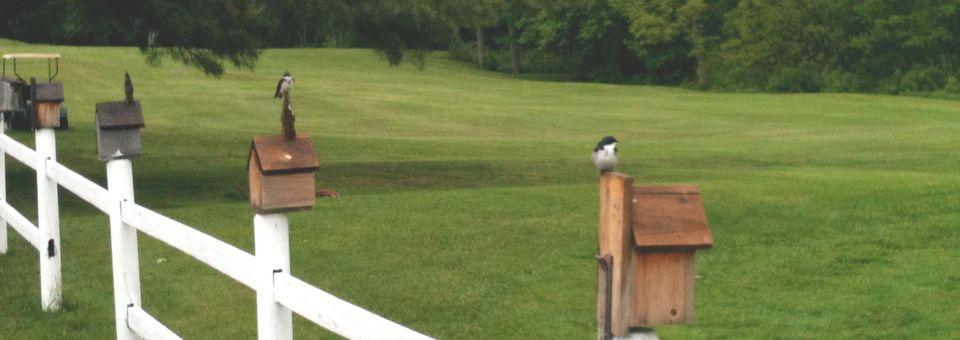 Salmon Falls Golf Course