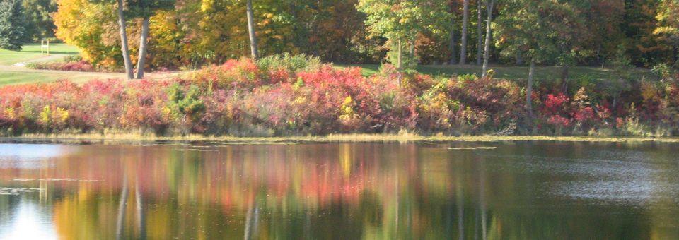 Ruttgers Bay Lake Lodge