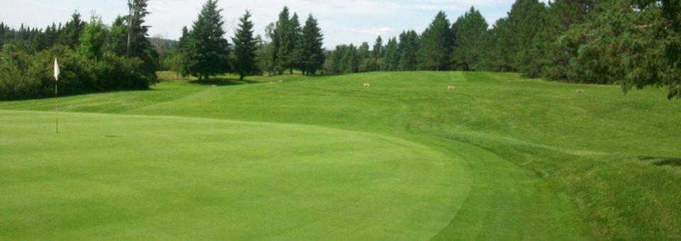 Clear Springs Golf Course