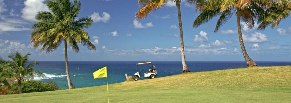 punta borinquen golf club