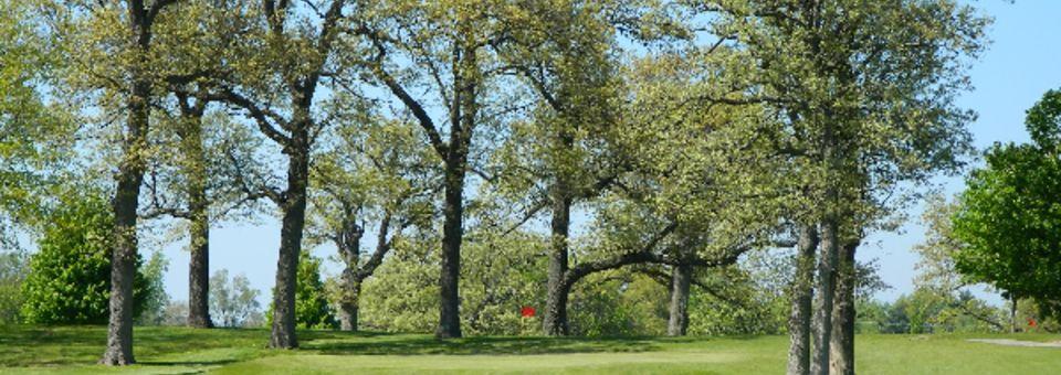 Oak Springs Golf Course (New)