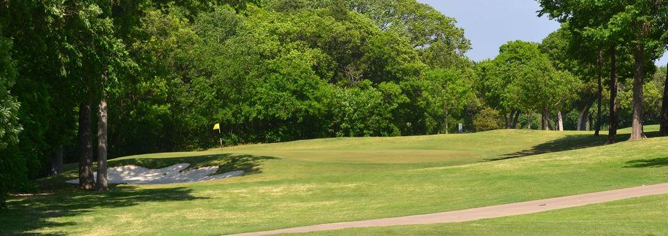 A view from Tenison Park Golf Course - Tenison Glen Course