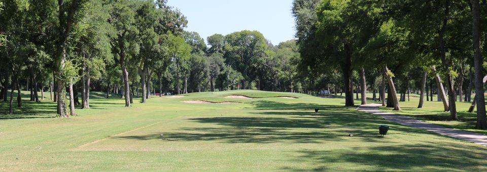Brackenridge Park