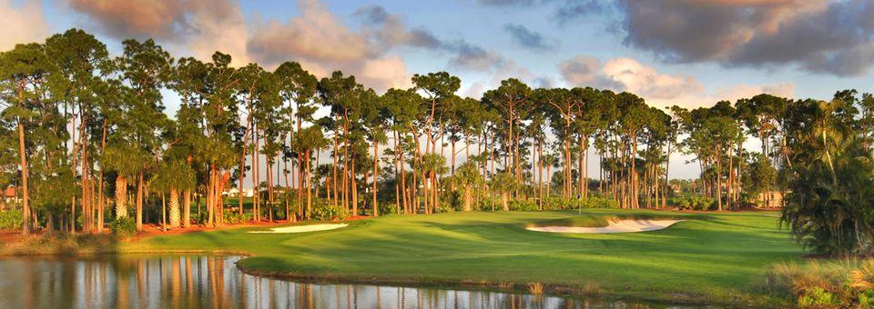 A view from PGA National - The Champion