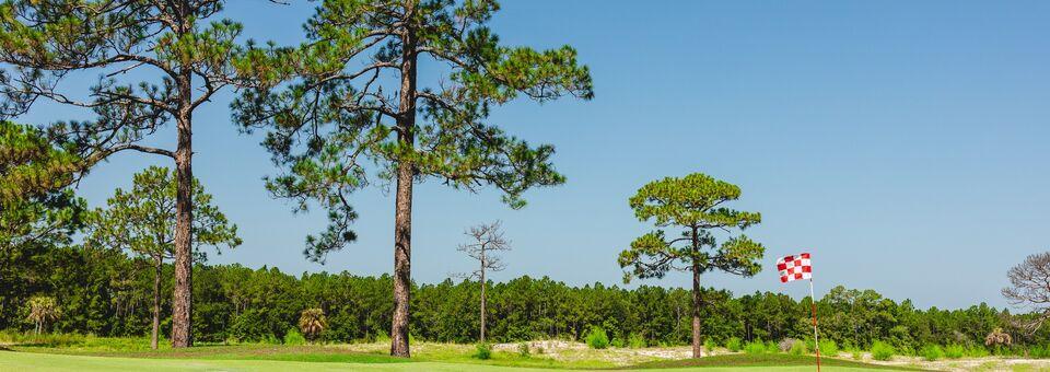 Pine Royale Golf Club