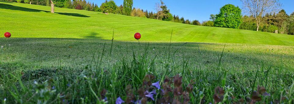 GolfClub Über den Dächern von Passau