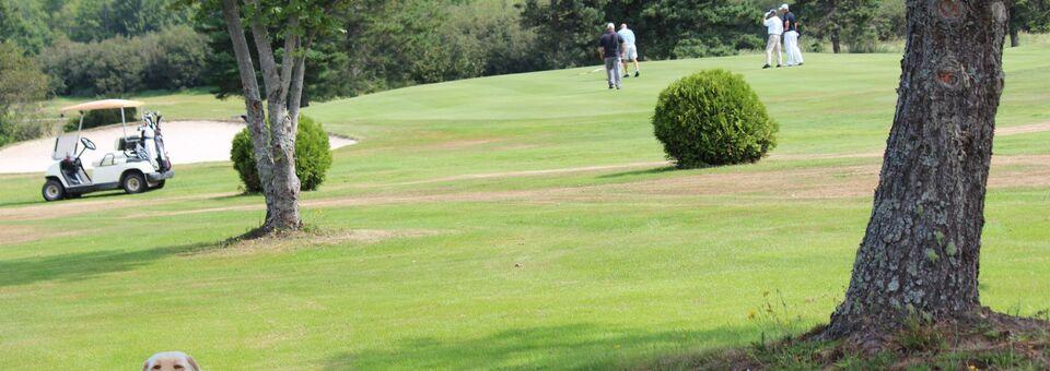 Bucksport Golf Club