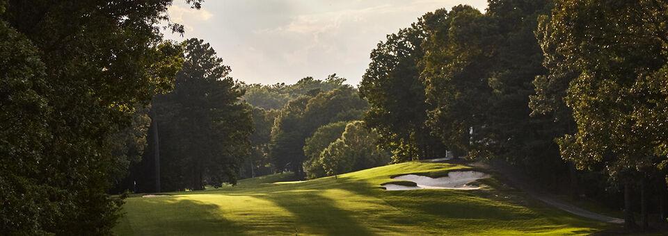 Ford's Colony Country Club - Marsh Hawk