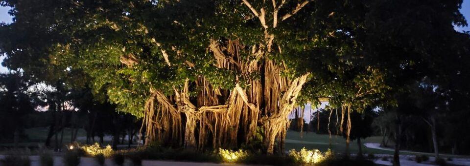 Banyan Creek Golf Club