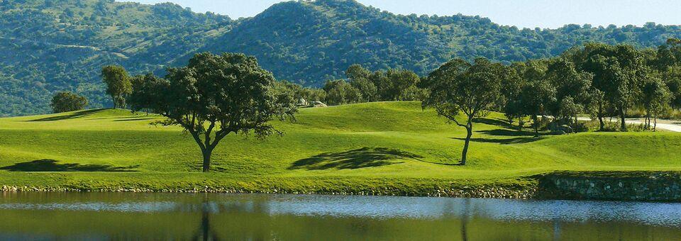Air Golf Club