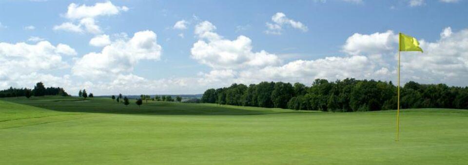 A view from Reiters Golf & Country Club Bad Tatzmannsdorf