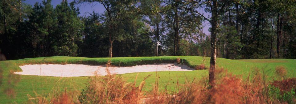 Carter Plantation