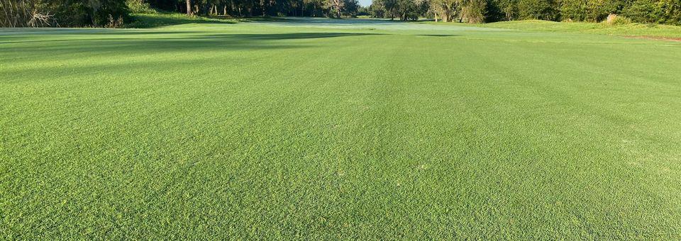 Blue Cypress GC-Jacksonville's Premier 9 Hole Facility Tee Times ...