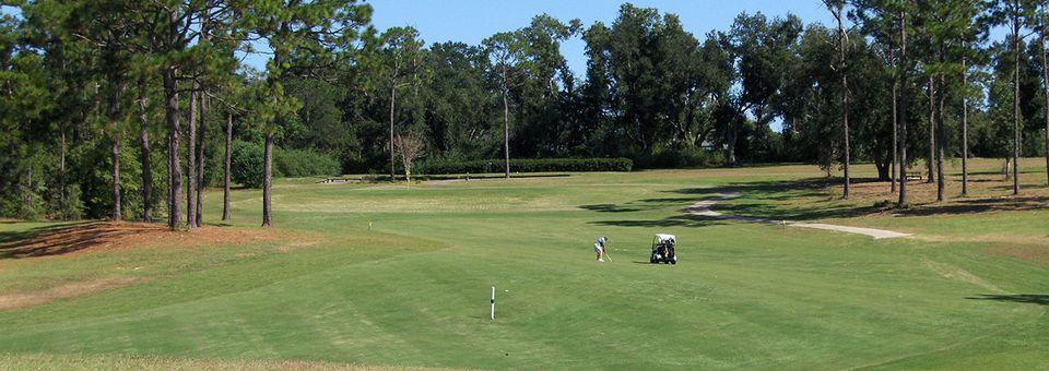 Cypress Lakes Golf Club - FL