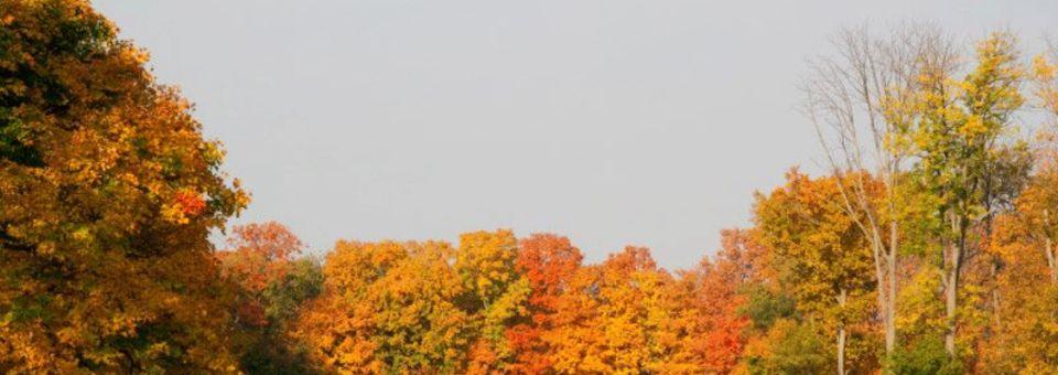 Hamilton Elks Golf Club