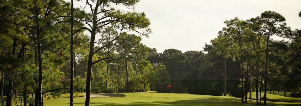 Palmetto-Pine Country Club