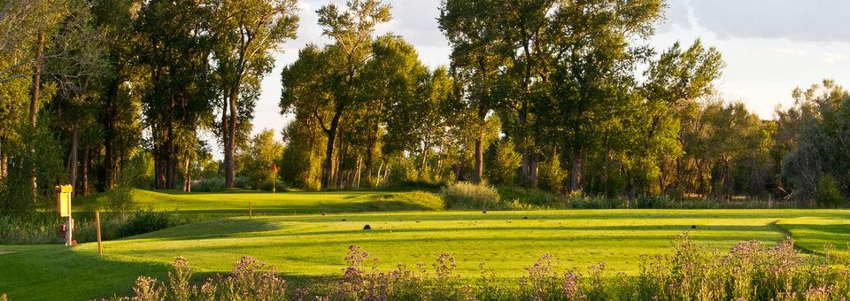 Cattails Golf Club