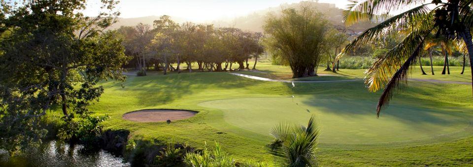 Ocean Course - Rio Mar Country Club - Reviews & Course Info | GolfNow