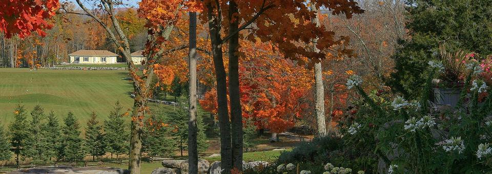 Black Bear Ridge Golf Course